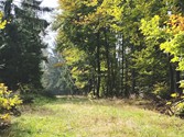 wald21