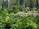 natur1056