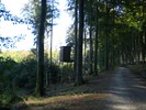 natur1136