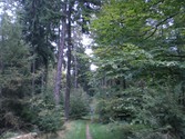 wald141